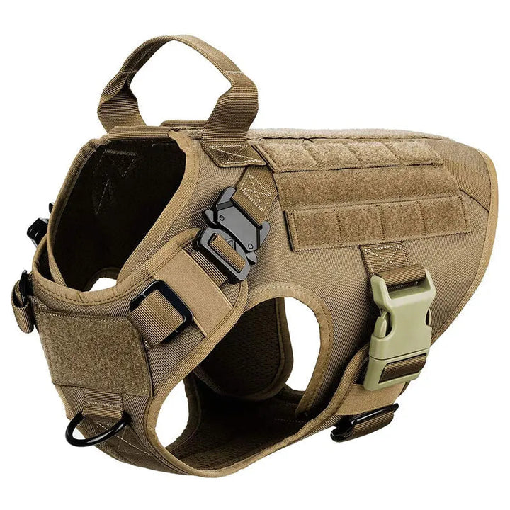 Dog wearing tactical harness and leash during outdoor activity, showing practicality and comfort