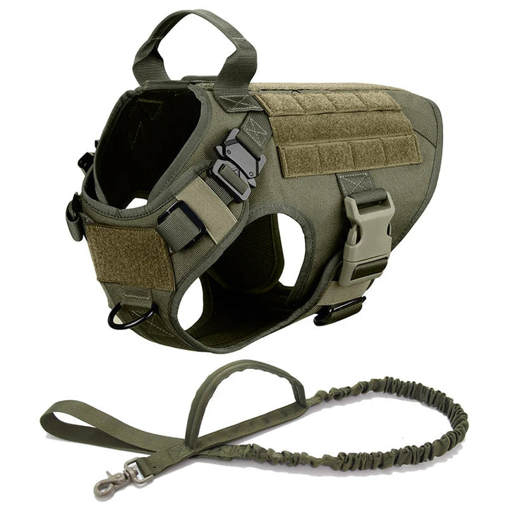 Durable tactical dog harness for all-weather use, with matching strong nylon leash