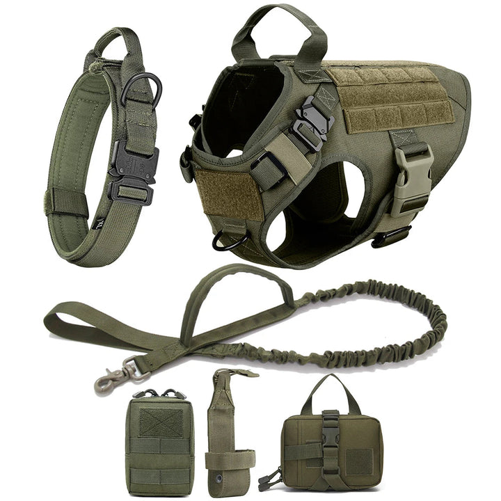 Outdoor gear: Tactical dog harness and leash for adventurous dogs, highly adjustable for safety