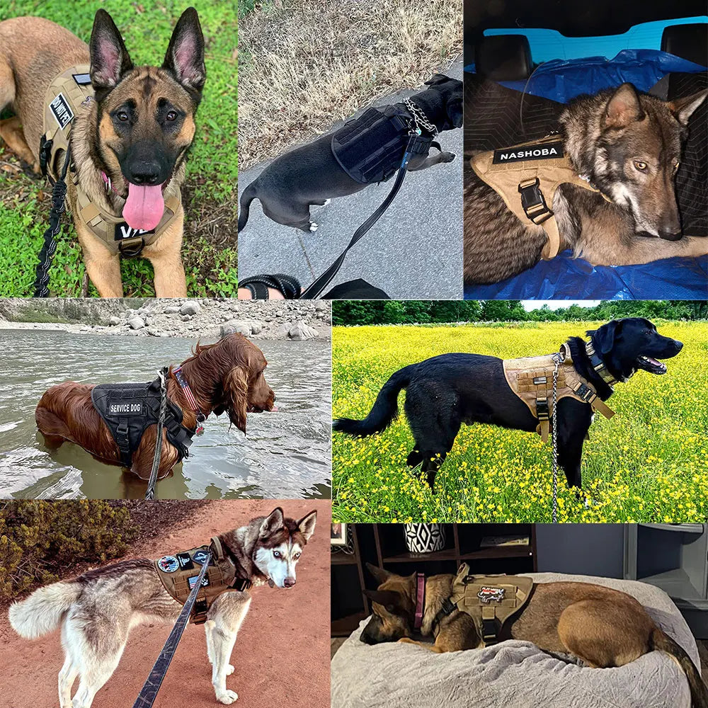 Tan tactical dog harness featuring MOLLE system, robust and adjustable for K9 and service dogs