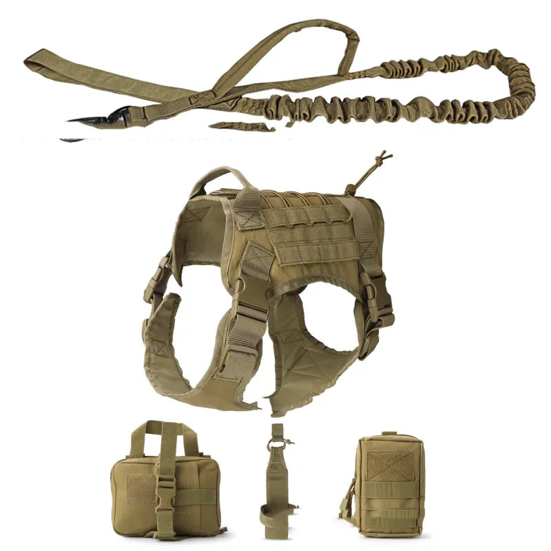 Close-up of a tactical dog harness showing durable fabric, reinforced stitching, and leash attachment point.