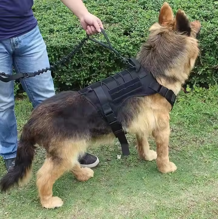 Adjustable tactical dog vest with durable fabric and storage pockets, perfect for hiking and training