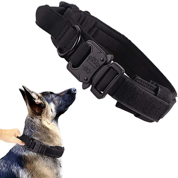 Tactical military dog collar & leash set, heavy-duty nylon, adjustable, with padded handle for training.