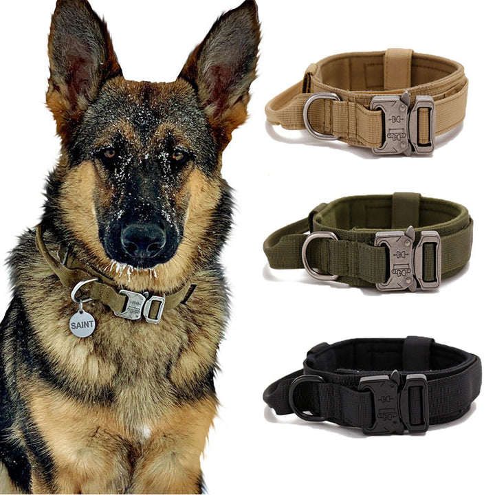 Close-up of tactical nylon dog collar, padded for comfort, durable military-style hardware for large dogs.
