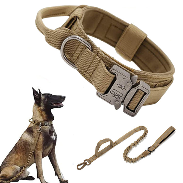 Detail of tactical dog collar's metal buckle and D-ring, strong webbing, ideal for training & control.