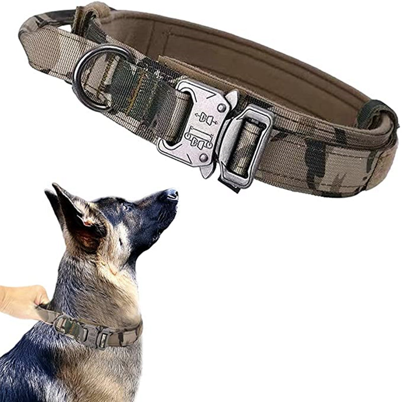 Set of tactical dog collar and leash, black padded nylon, designed for K9 training and daily use.