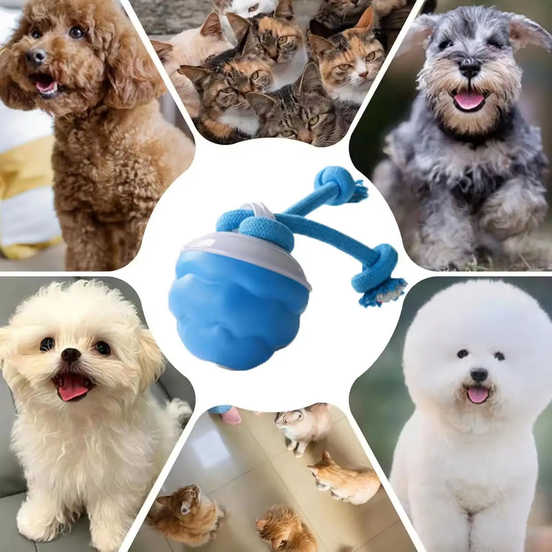 Smart Interactive Dog Ball Toy for All Breeds