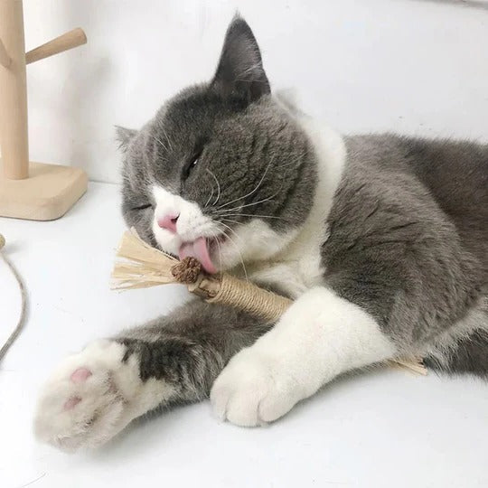 Three natural silvervine cat chew toys made with jute rope for dental health and interactive play.