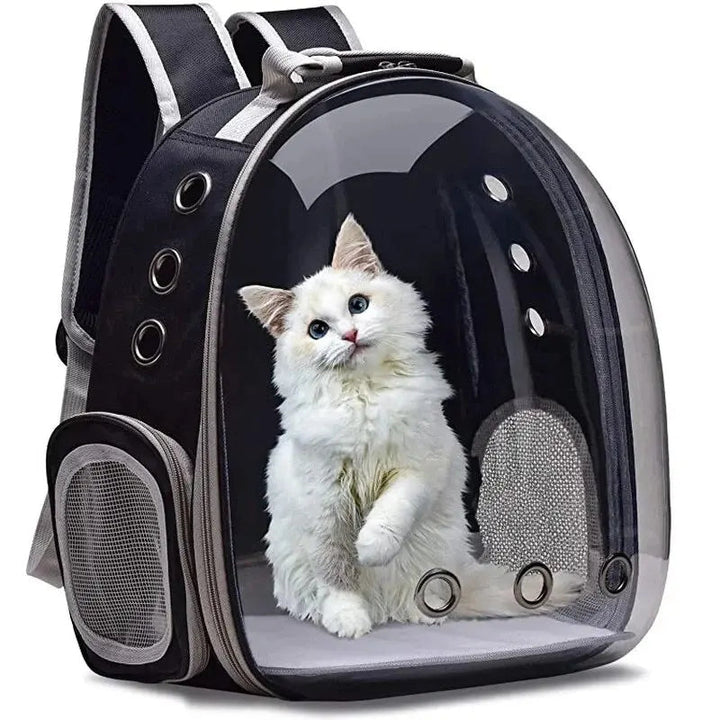 Transparent pet carrier backpack for small cats & dogs. Ideal for travel & vet visits.