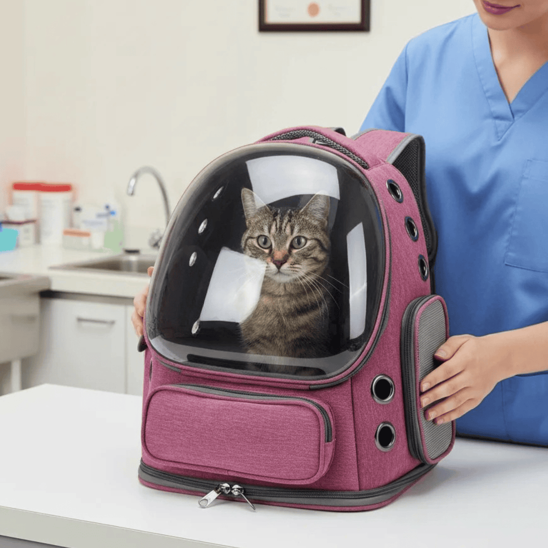 Lightweight pet carrier backpack, clear window for pet, ideal for travel, breathable oxford material.