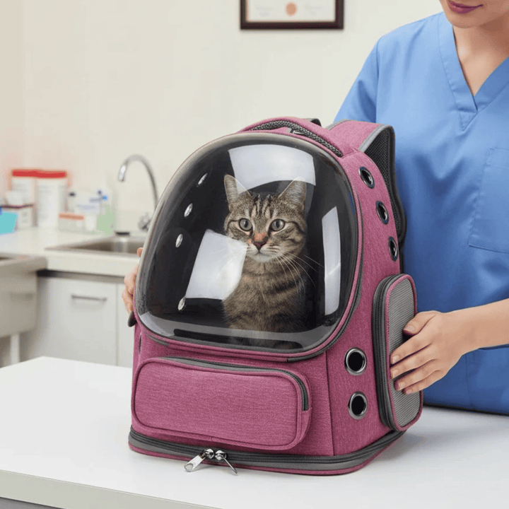 Lightweight pet carrier backpack, clear window for pet, ideal for travel, breathable oxford material.