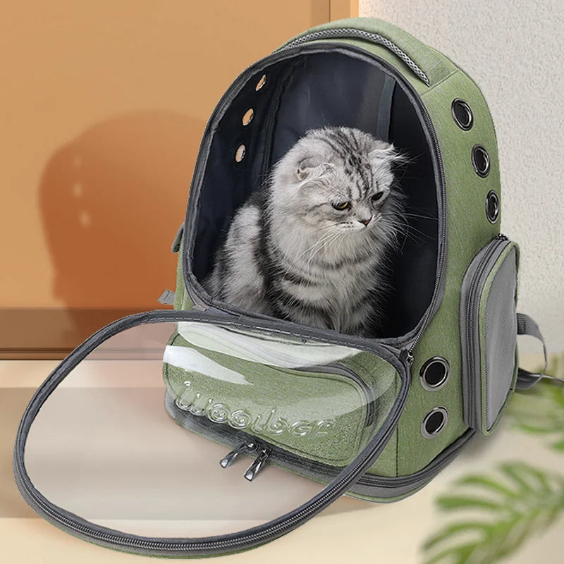 Breathable pet bubble backpack carrier for adventurous cats and small dogs, close-up of ventilation holes.