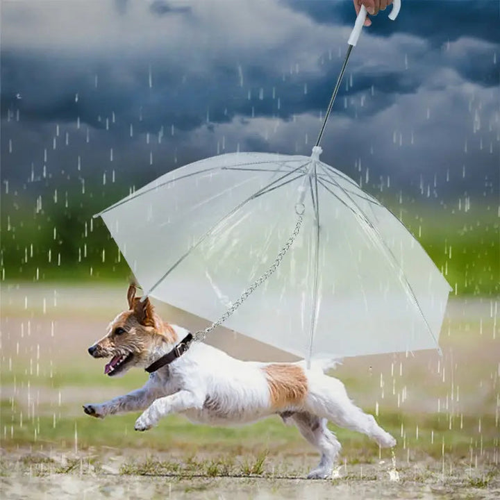 Close-up of a transparent pet umbrella handle and C-shaped leash, perfect dog rain gear.