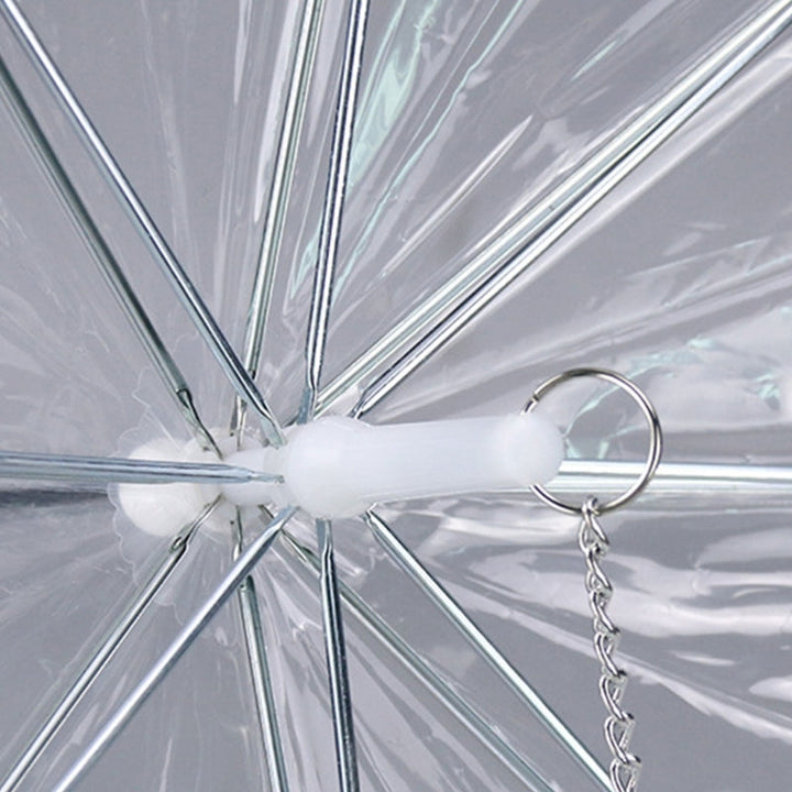 Small dog happily walking under a transparent pet umbrella, showcasing its rain protection and integrated leash.