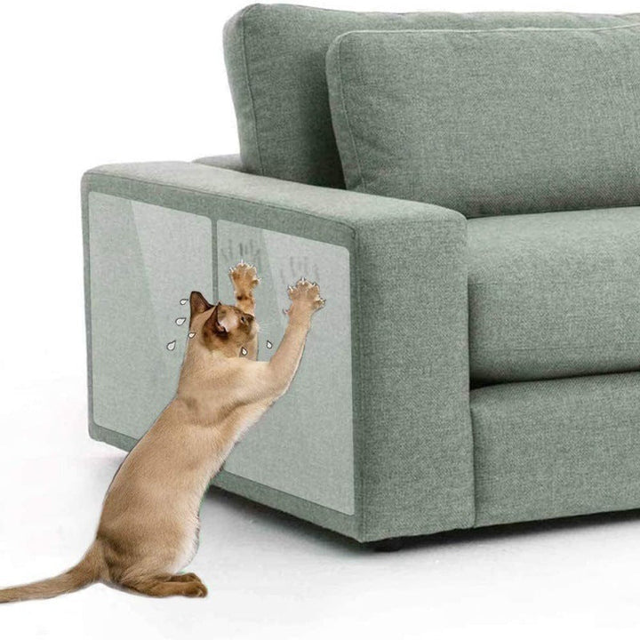 Pet supplies: Transparent anti-scratch film for cats on a leather couch