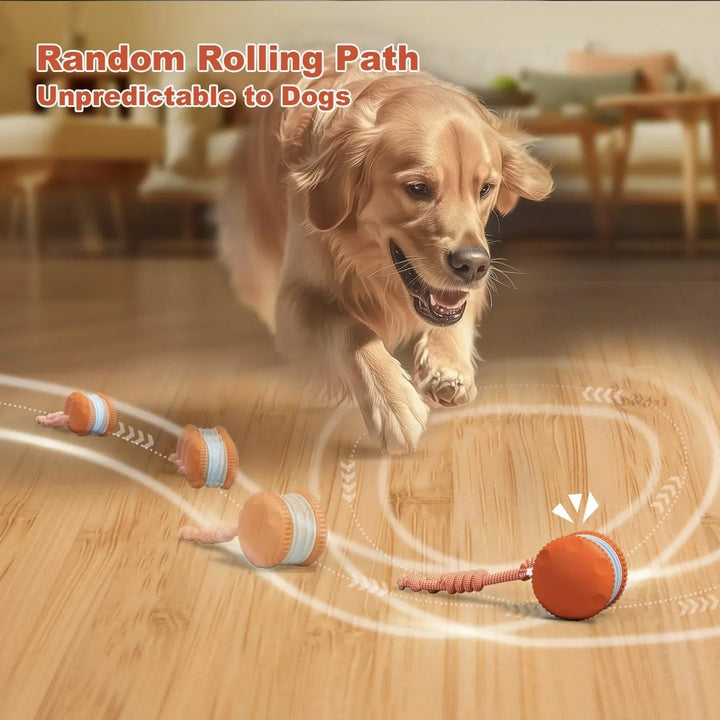 Set of two automatic dog balls, interactive pet toy for dogs, rolling enrichment activity