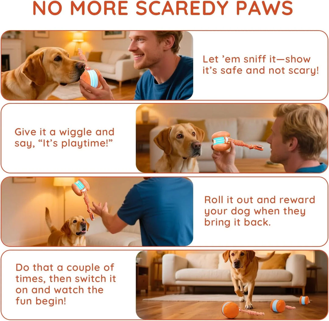 Two rolling dog balls, interactive pet toys designed for automatic play and training