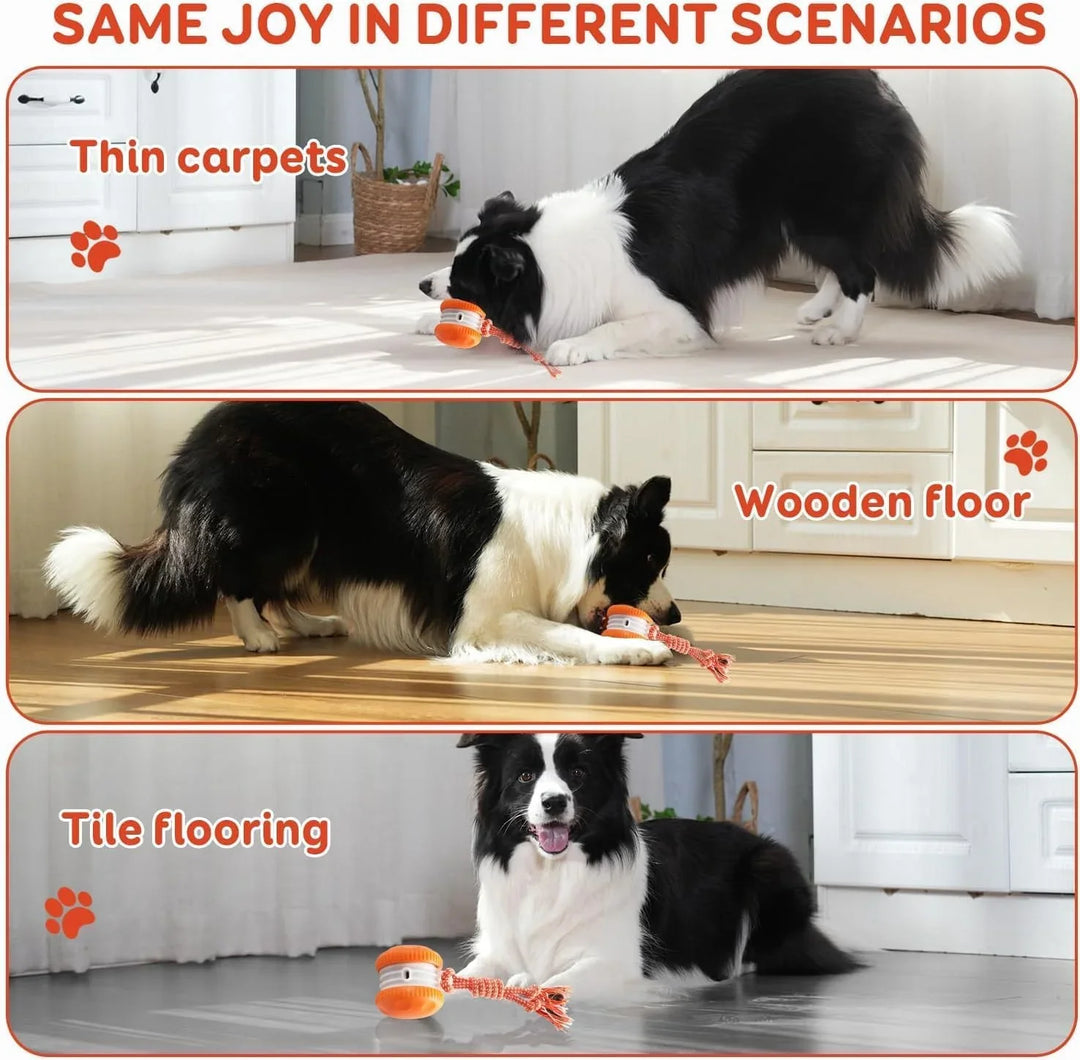 Interactive dog toy pack: two automatic rolling balls for pet enrichment and chew resistance