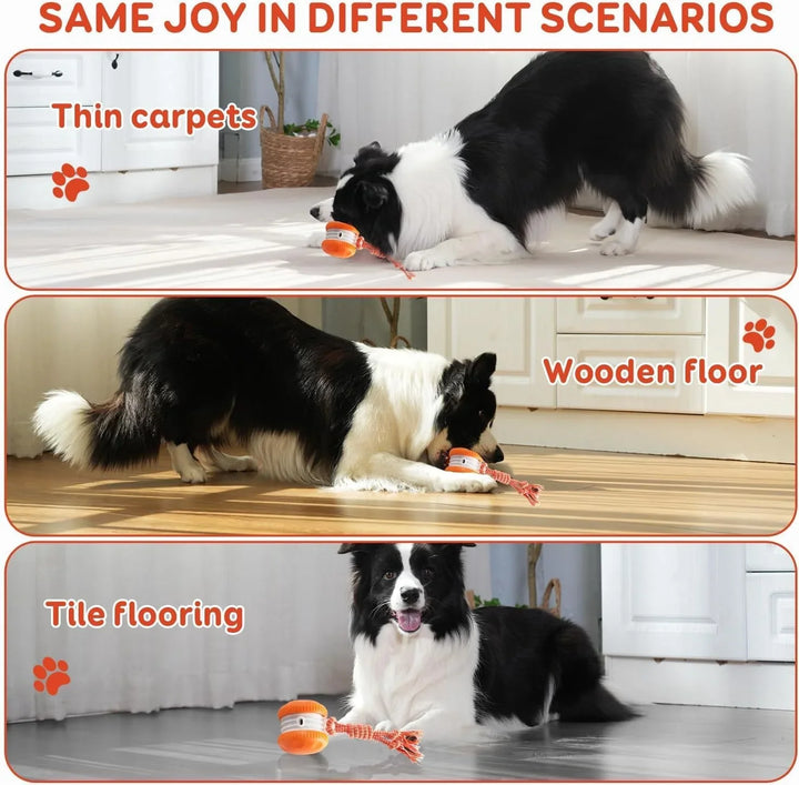 Interactive dog toy pack: two automatic rolling balls for pet enrichment and chew resistance