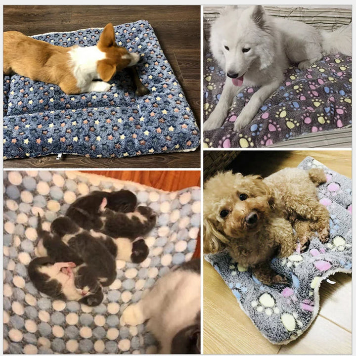 Cozy pet bed designed for cats, providing stress relief with ultra-soft, machine washable fabric