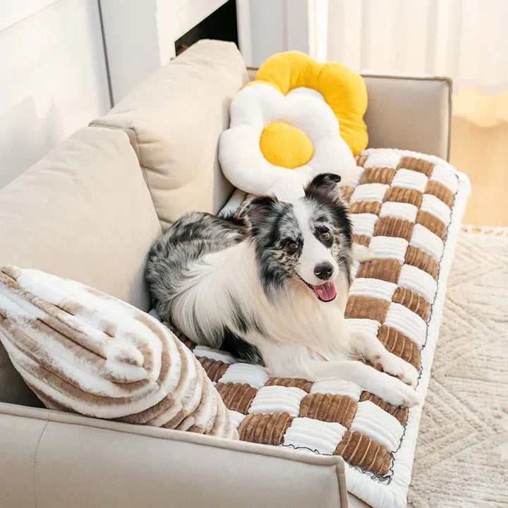 Warm pet blanket absorbing spills, demonstrating its washable & practical design
