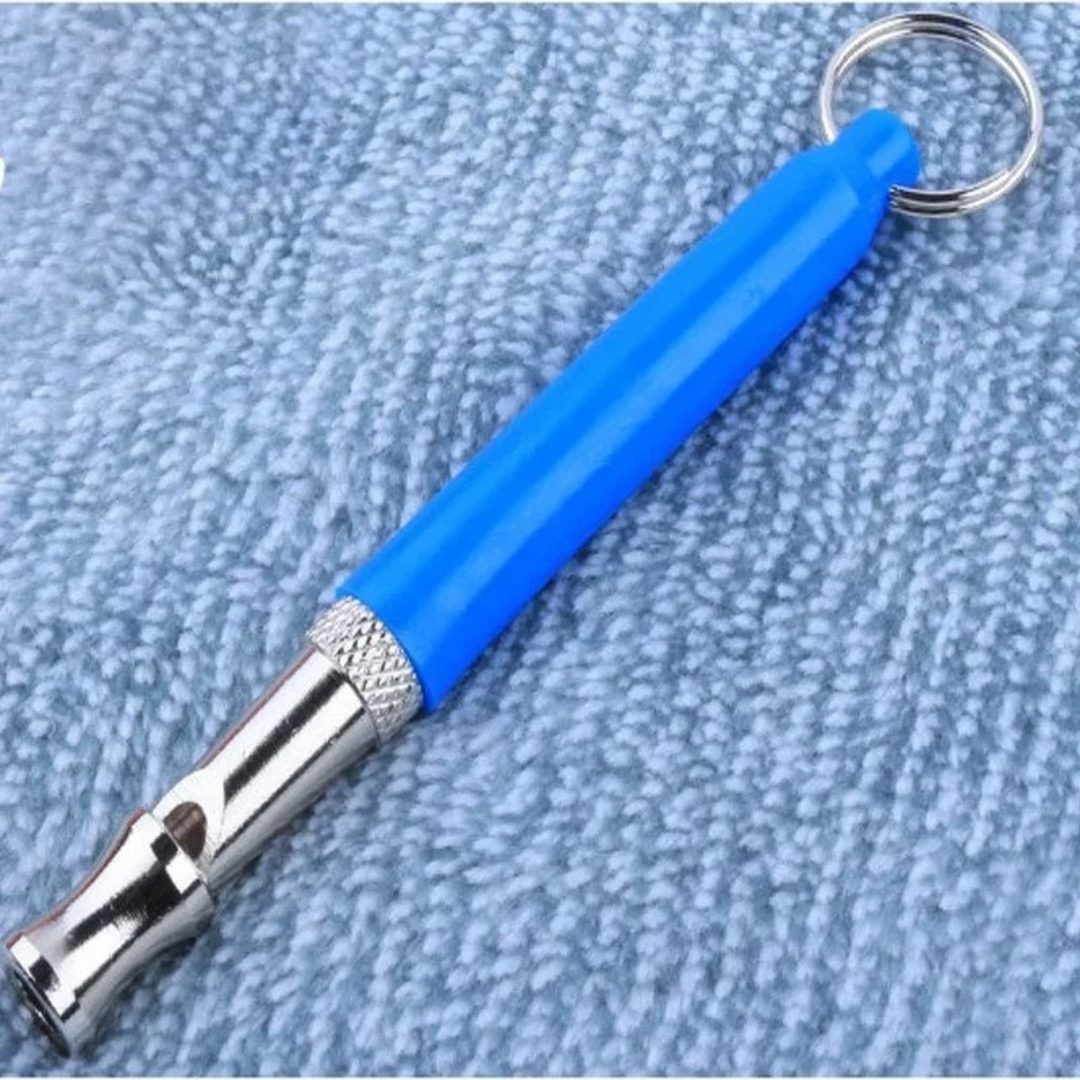 Hand holding an ultrasonic dog whistle, essential pet training aid for dog owners