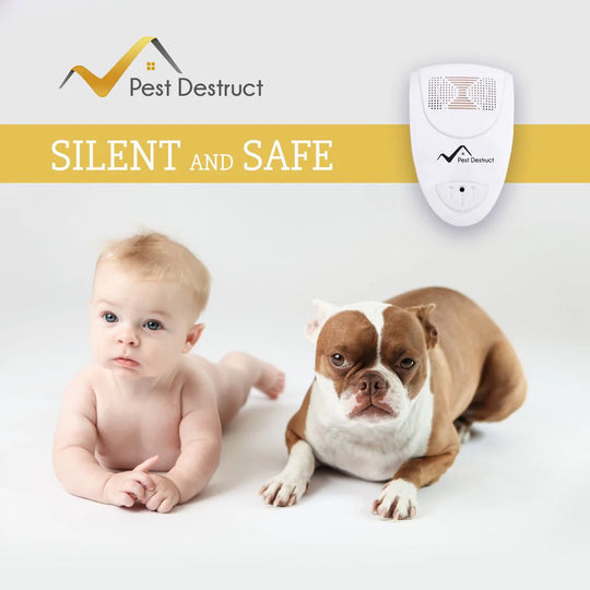 Electronic ultrasonic pest repellent, a safe plug-in solution for indoor mice & insect control. Home protection.