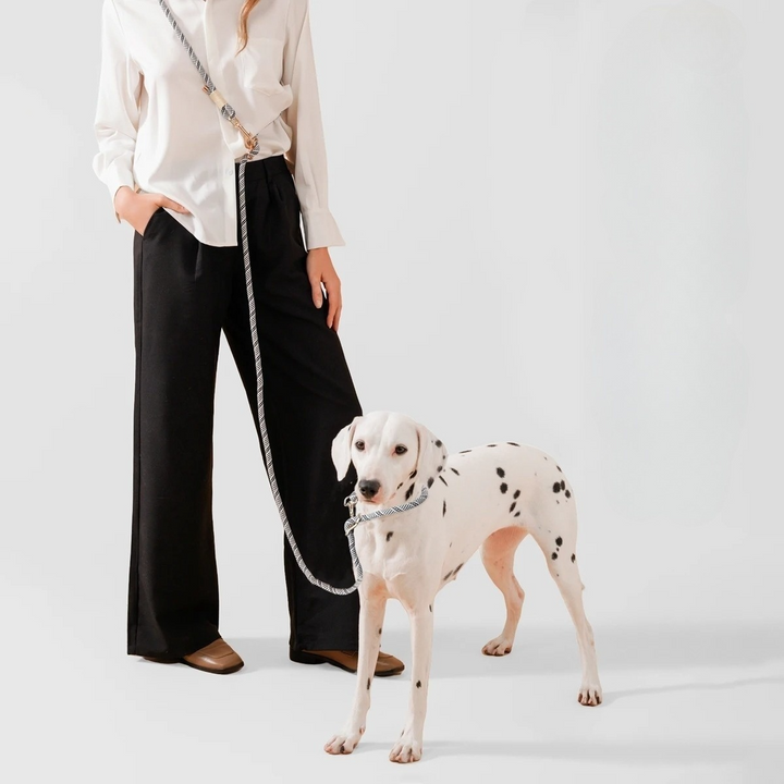 Multi-functional hands-free dog leash, ideal for running, walking, and training with your pet