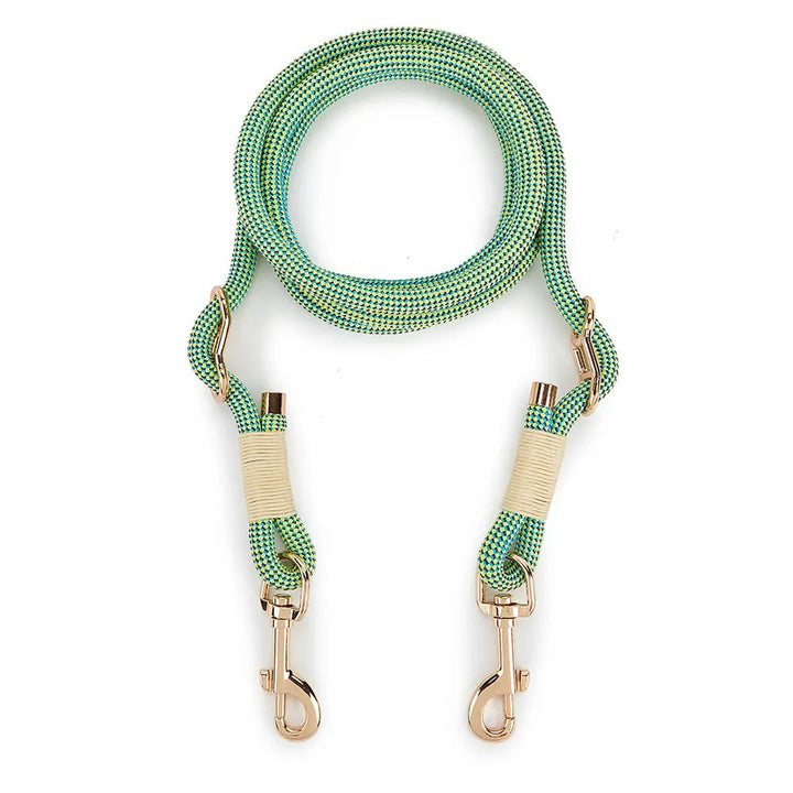 Durable hands-free dog leash, versatile for outdoor activities and effective dog training