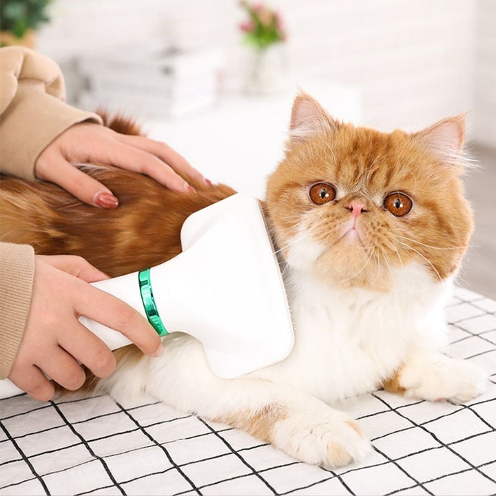 Pet grooming tool: 2-in-1 dog dryer and deshedding brush for easy at-home pet care and drying