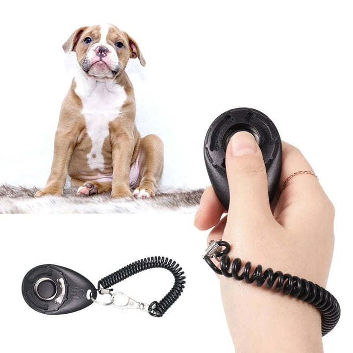 Dog training kit: clicker, whistle, and wristband for effective pet behavior modification