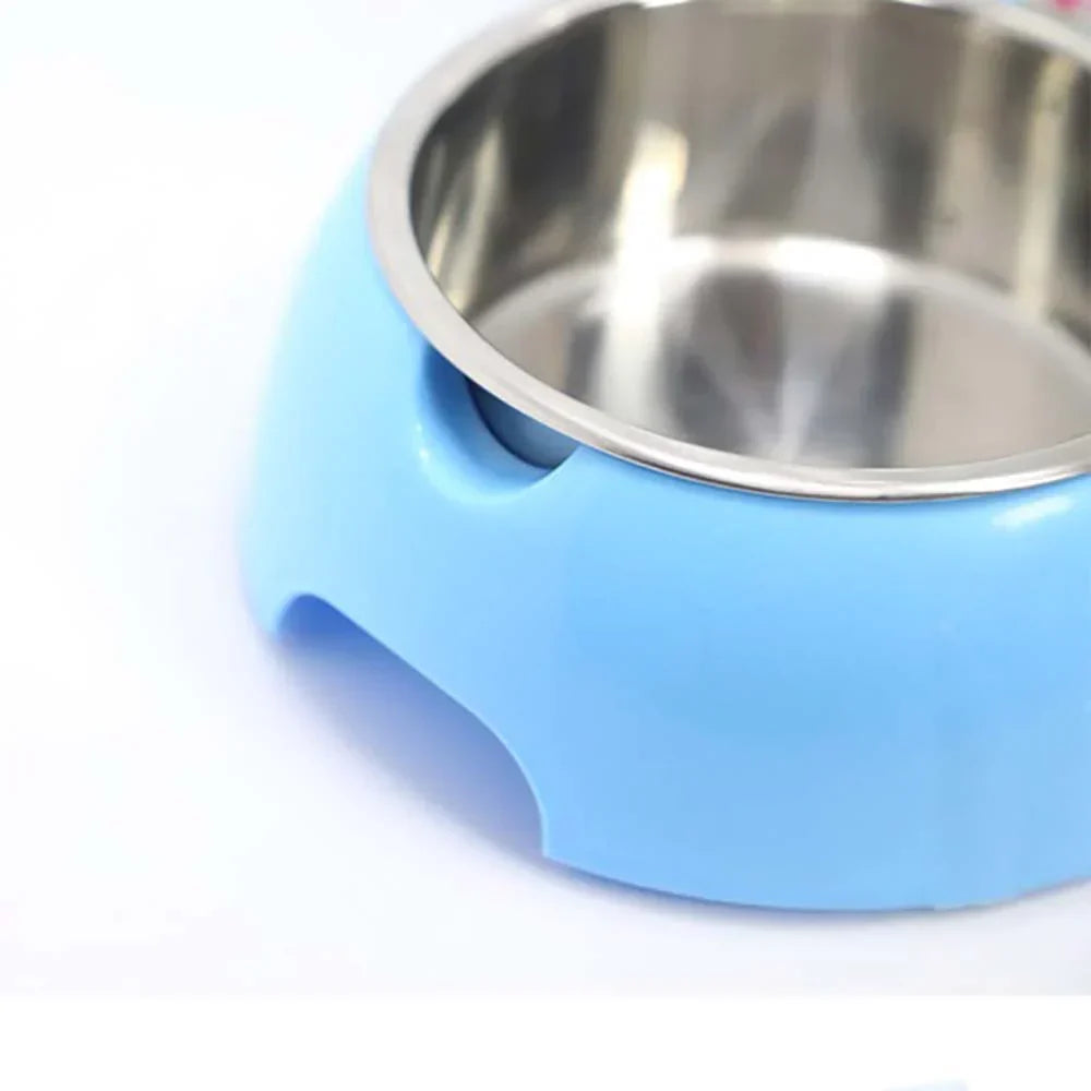 Hygienic cat and dog bowl pet feeder with integrated water dispenser, essential pet organizer