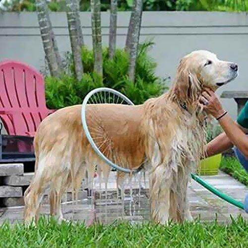 Unisex 360° Pet Shower Scrubber Tool for easy dog bathing and cat grooming, pet friendly design
