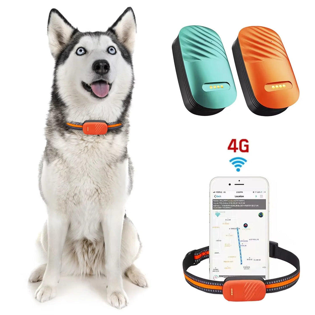 Black 4G GPS tracker for dogs & cats, pet supplies, robust & waterproof with secure attachment