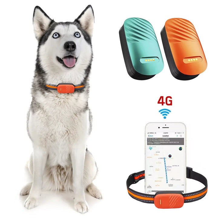 Black 4G GPS tracker for dogs & cats, pet supplies, robust & waterproof with secure attachment