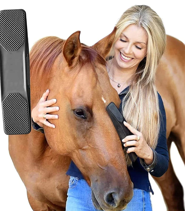 Unisex 6-in-1 horse grooming brush set with black, blue, and red tools for equine coat care.