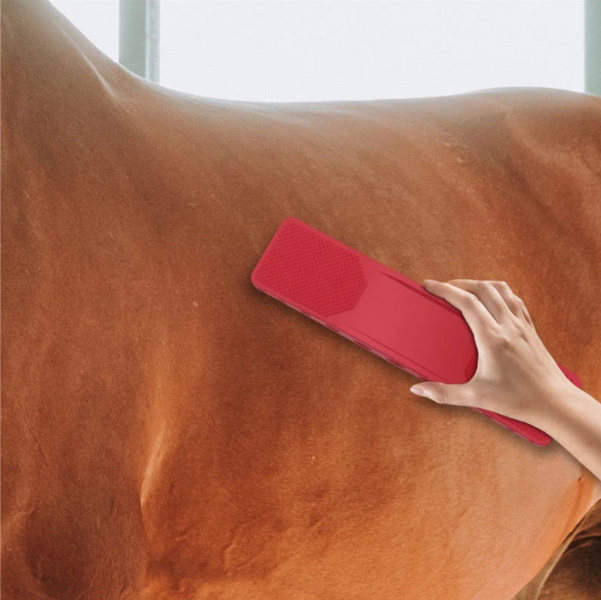 Comprehensive horse grooming kit featuring six brushes in black, blue, and red for pet care.