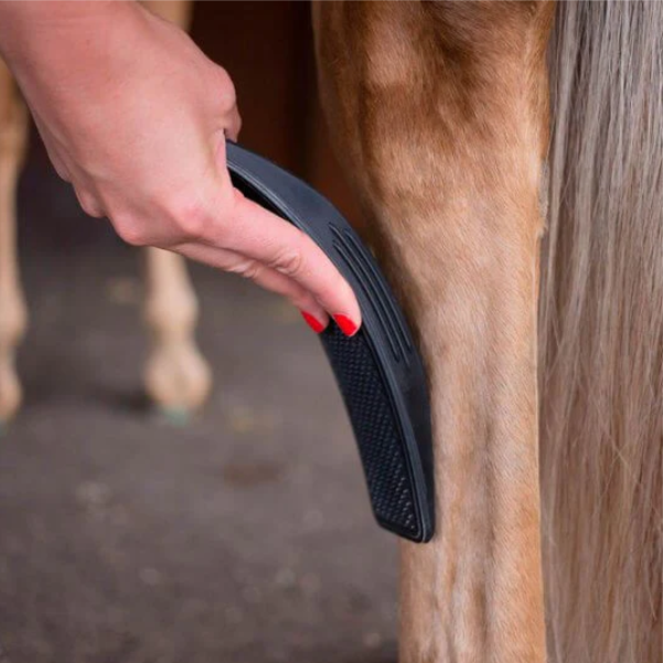 Unisex horse grooming brush set, black, blue, red, offering complete stable pet care solutions.