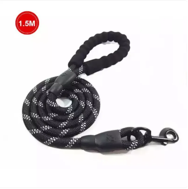 Lightweight adjustable nylon dog leash in a vibrant color with padded handle for pet owners