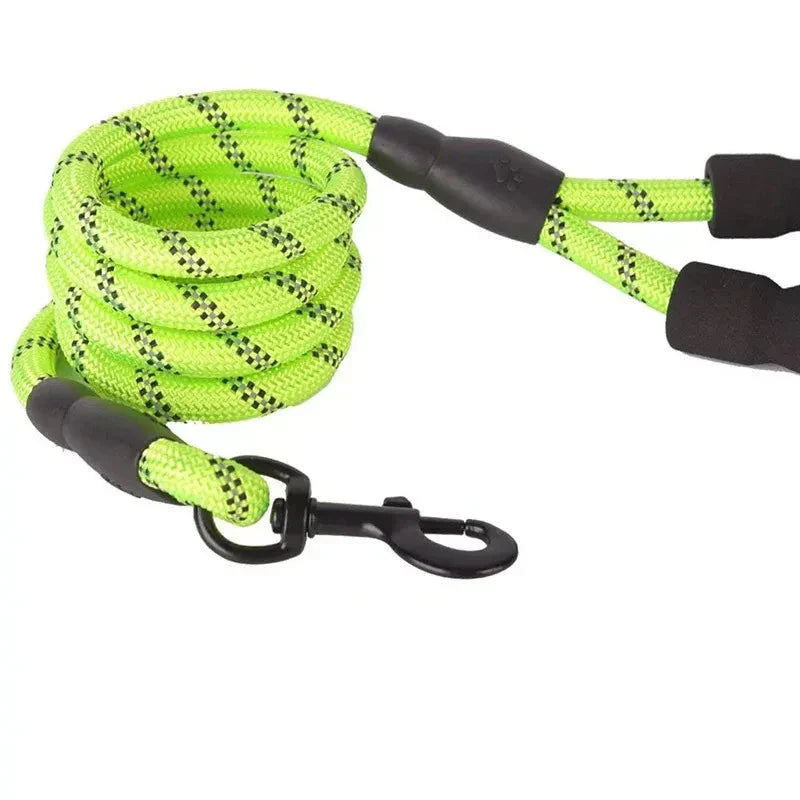 Green adjustable nylon dog leash featuring a comfortable padded handle, ideal for daily walks