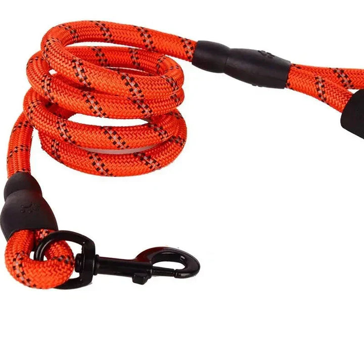 Close-up of a purple adjustable nylon dog leash showing the padded handle and strong clasp