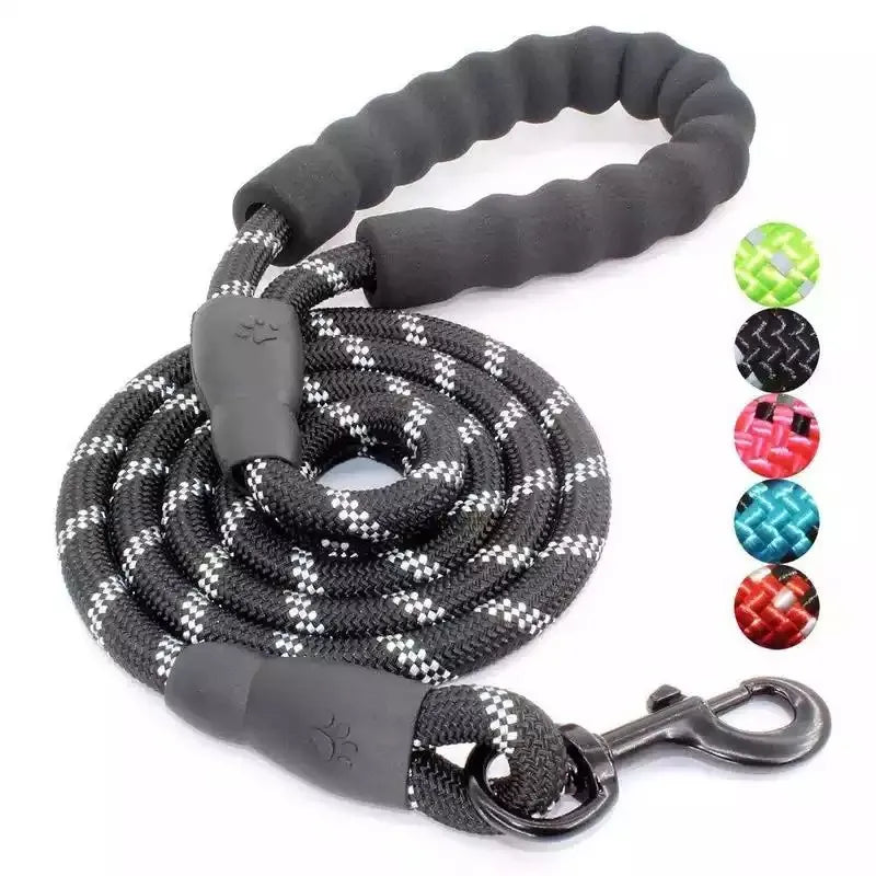 Reflective orange adjustable nylon dog leash with padded handle for enhanced visibility