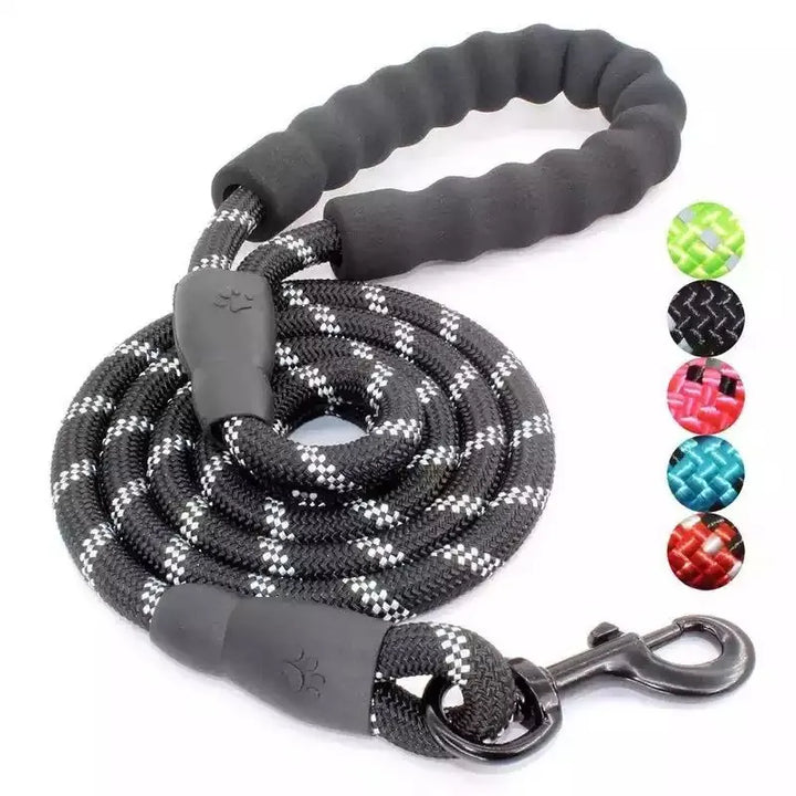 Reflective orange adjustable nylon dog leash with padded handle for enhanced visibility