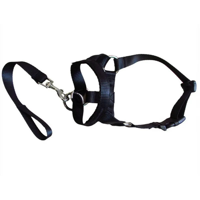 Nylon dog harness with matching leash, designed for small & medium dog comfort