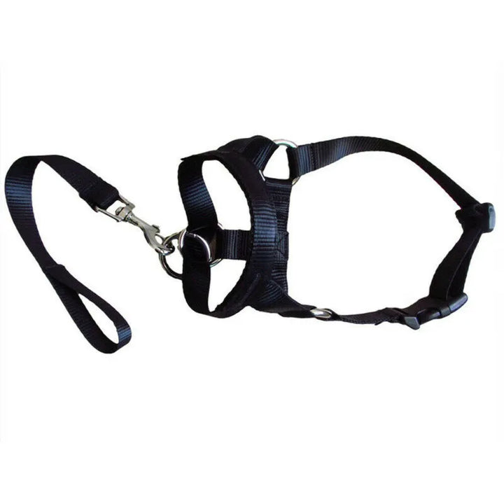 Nylon dog harness with matching leash, designed for small & medium dog comfort