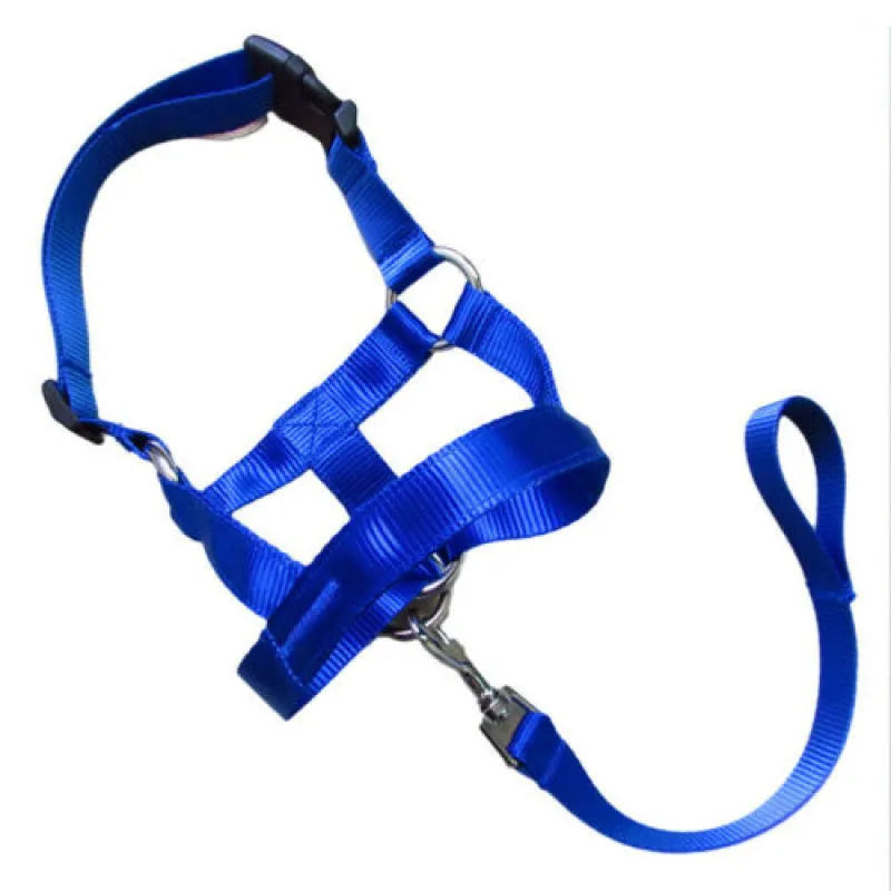 Pet walking set: durable, adjustable dog harness with leash for small & medium breeds