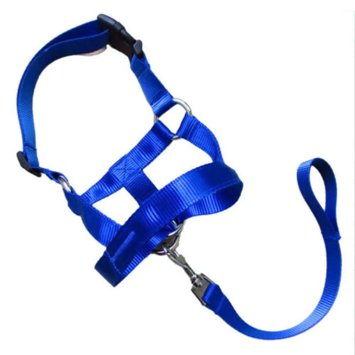 Pet walking set: durable, adjustable dog harness with leash for small & medium breeds
