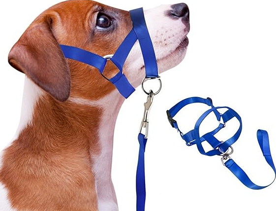 Dog accessories: black adjustable harness and leash for small and medium dogs