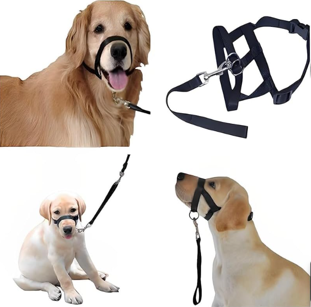 Pet leash and harness combo, unisex design for comfortable dog walking
