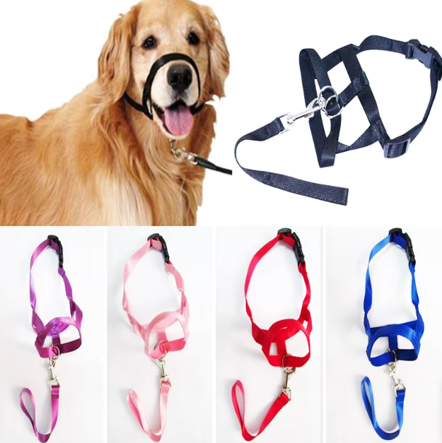 Durable pet gear: blue adjustable dog harness with leash for small breeds